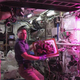 Image for article titled The First Space Flower Bloomed Decades Ago, Not This Week